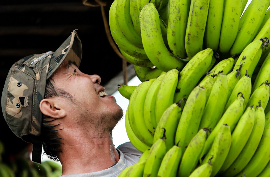 Doi thuong ho tren dat phuong Nam anh 17