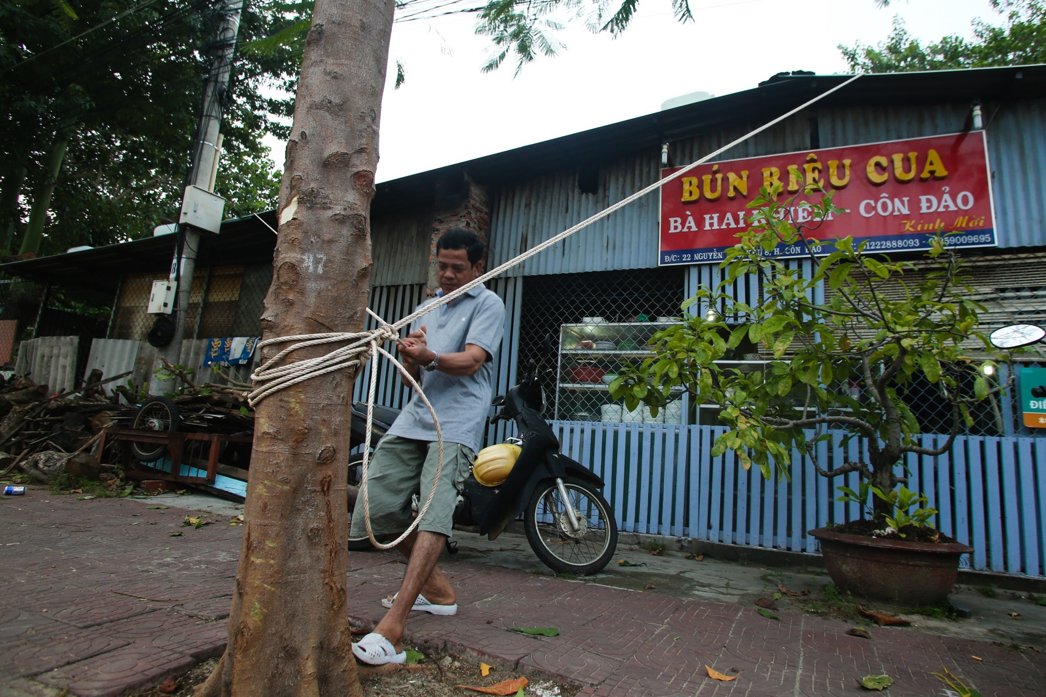 Con Dao truoc gio bao den hinh anh