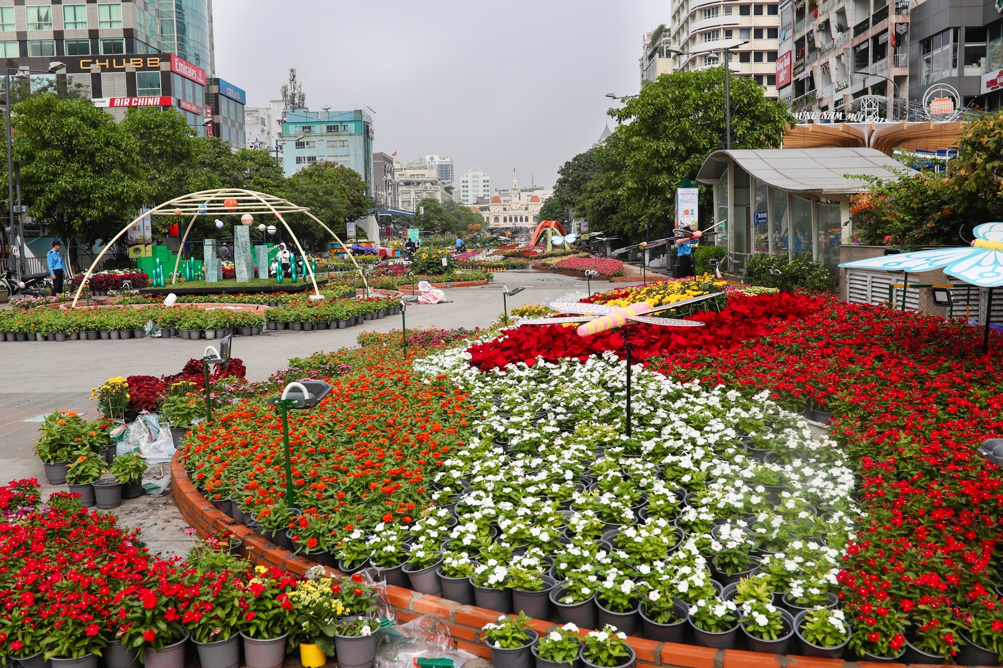 duong hoa Nguyen hue truoc gio khai mac anh 15