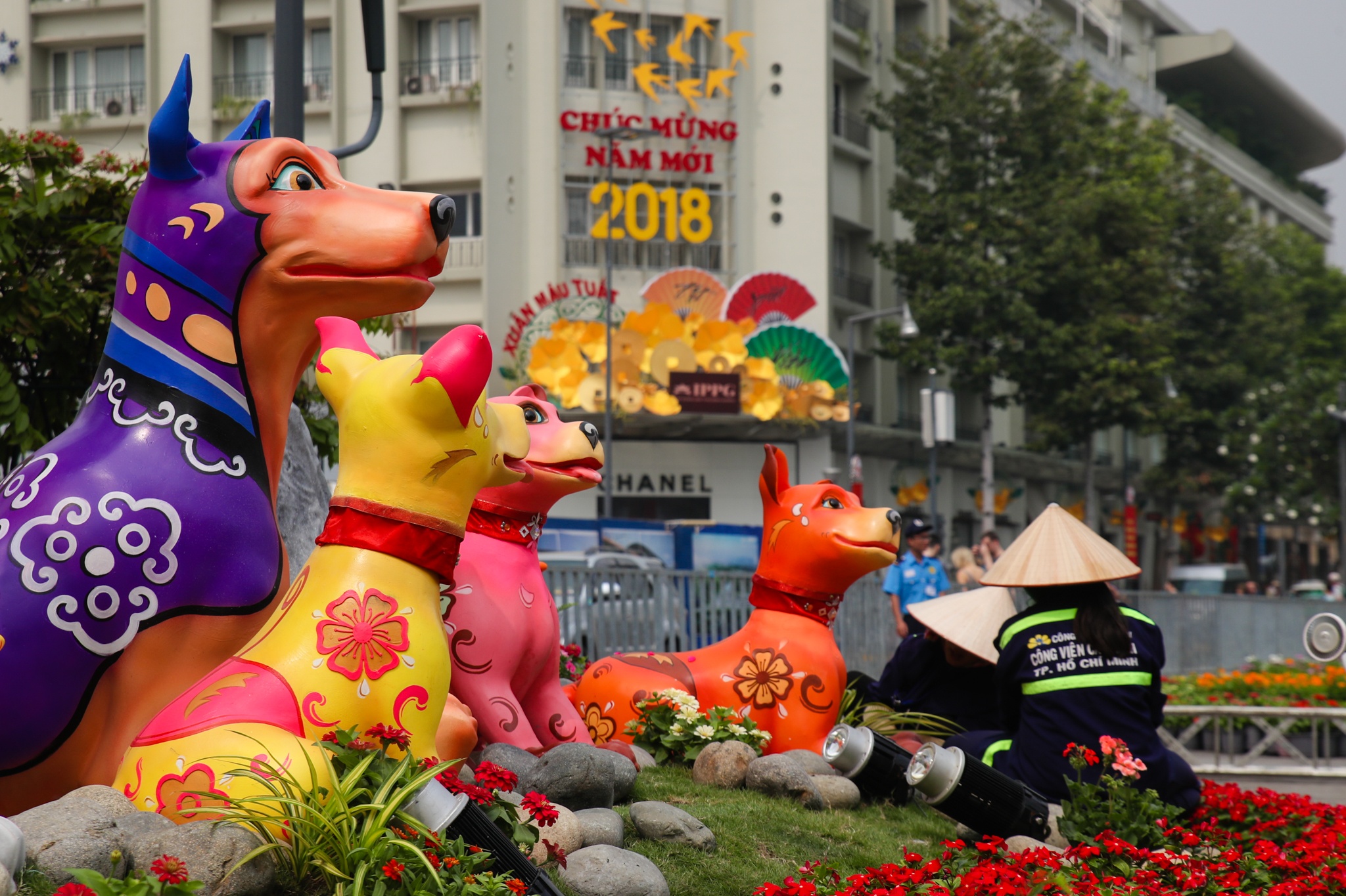 duong hoa Nguyen hue truoc gio khai mac anh 5