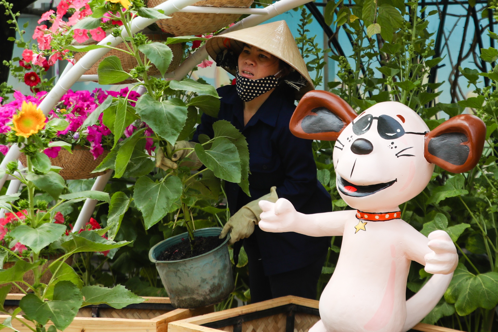 duong hoa Nguyen hue truoc gio khai mac anh 7