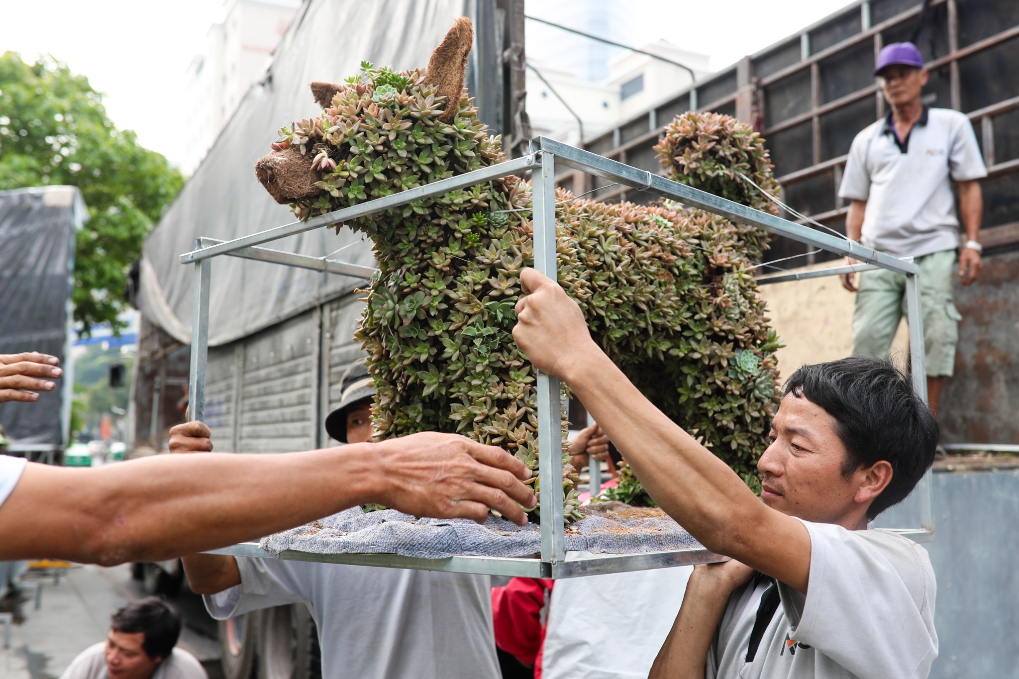 duong hoa Nguyen hue truoc gio khai mac anh 8
