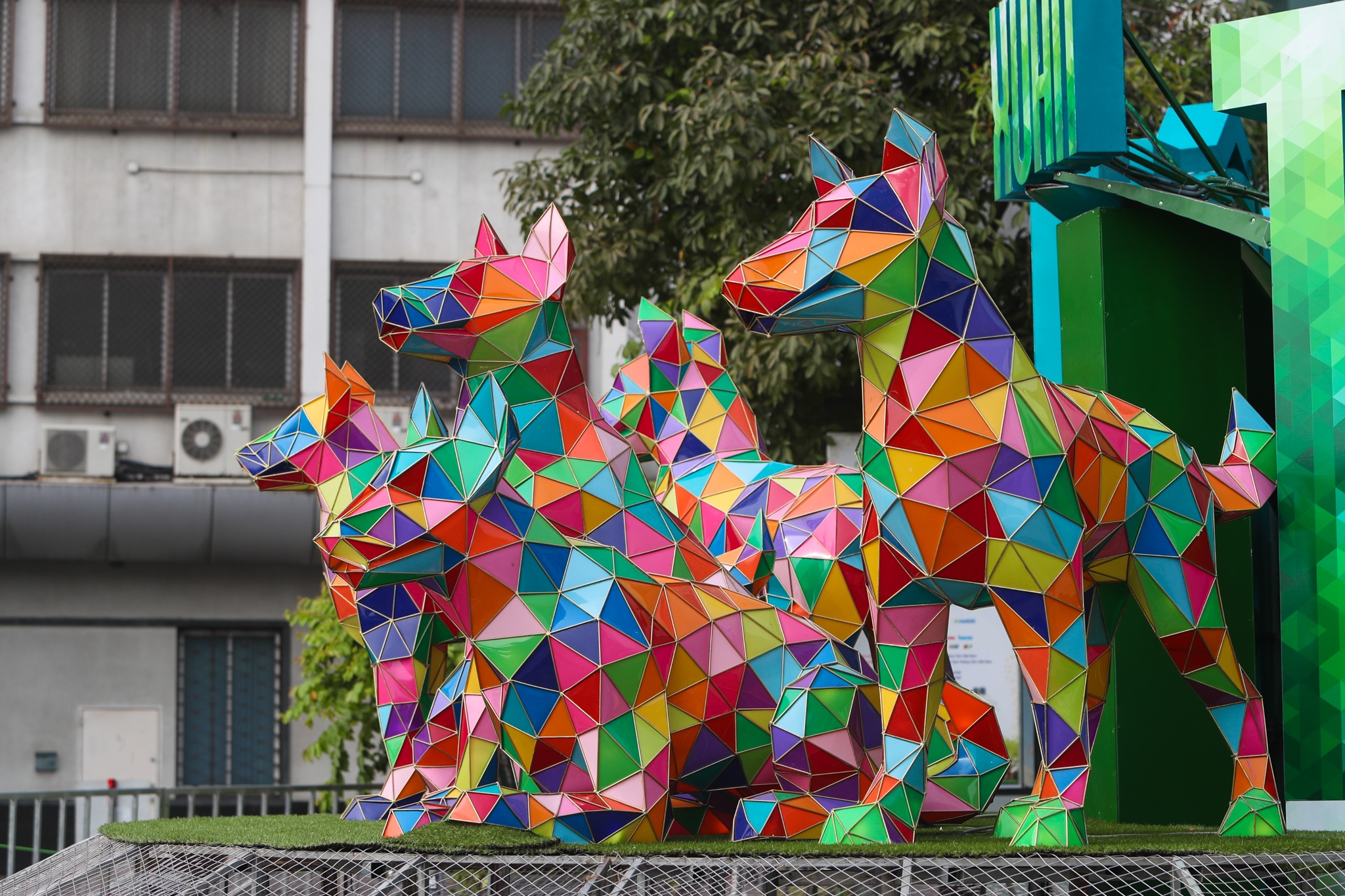 duong hoa Nguyen hue truoc gio khai mac anh 17