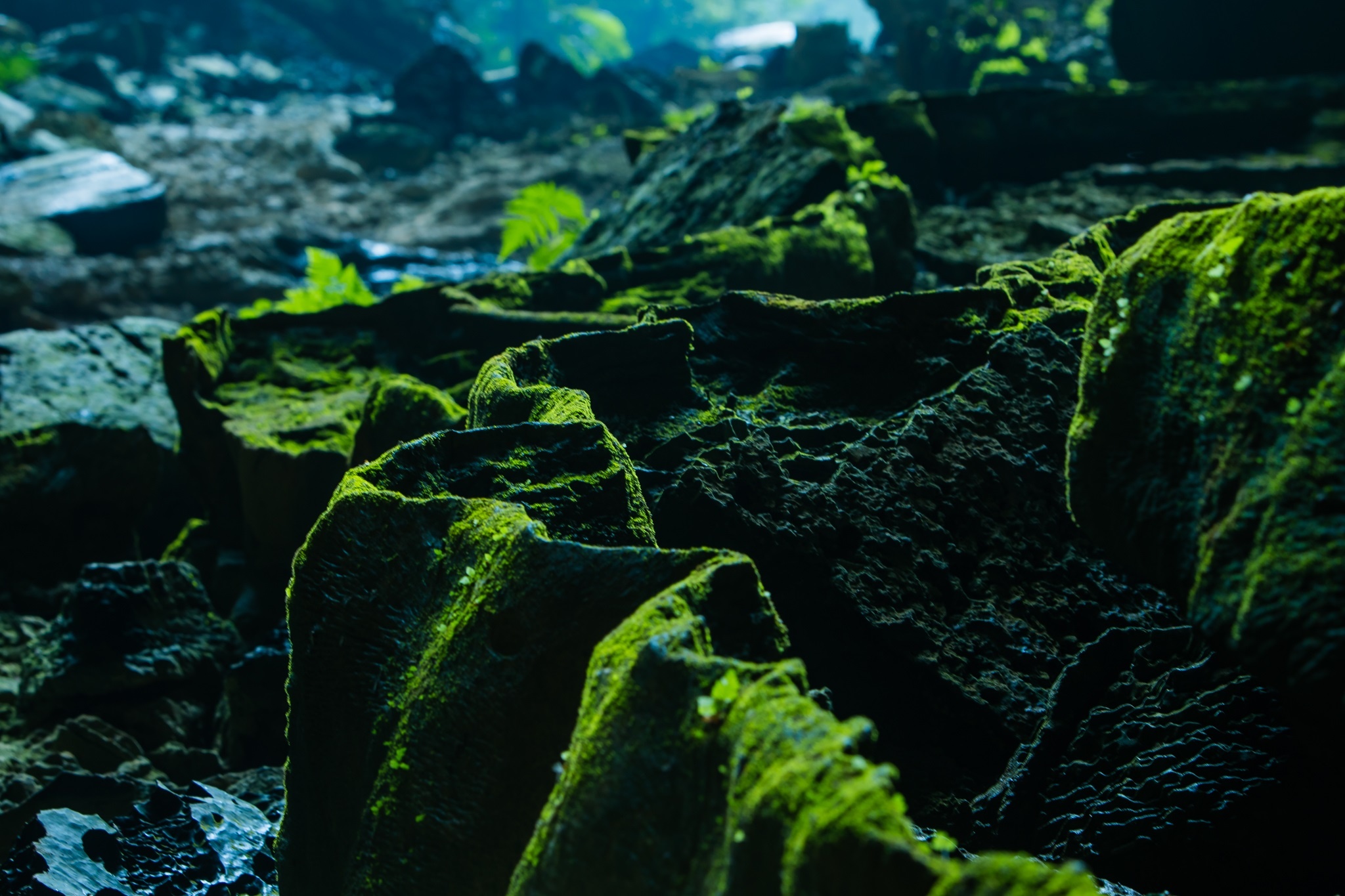 Kham pha hang dong Tu Lan anh 10