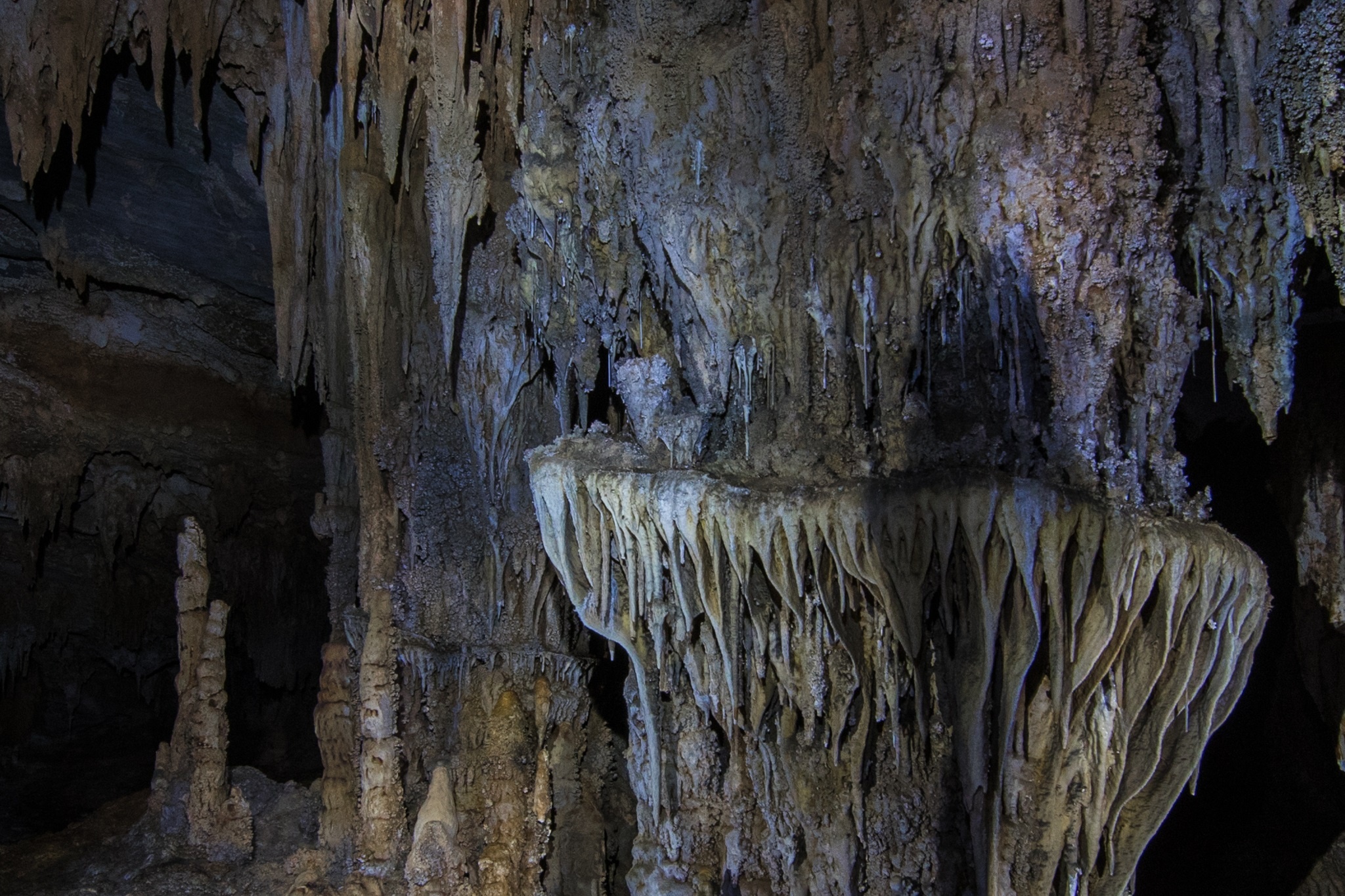 Kham pha hang dong Tu Lan anh 14