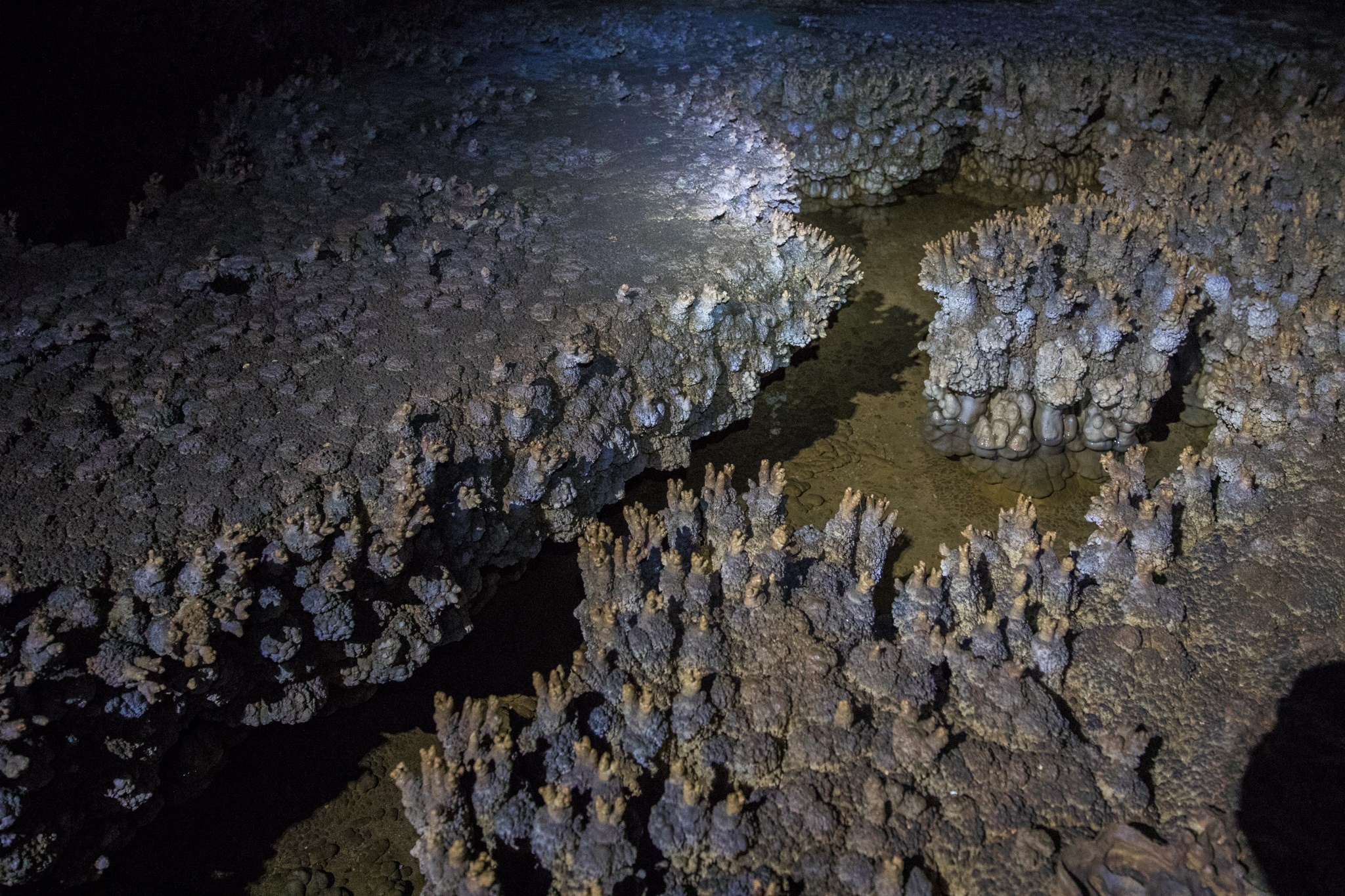 Kham pha hang dong Tu Lan anh 31