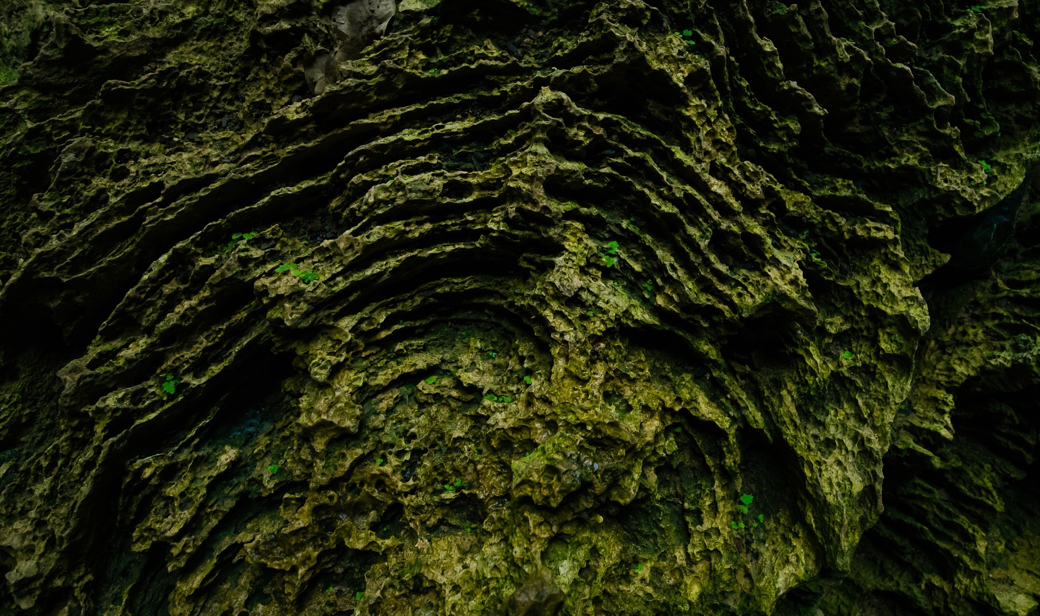 Kham pha hang dong Tu Lan anh 11