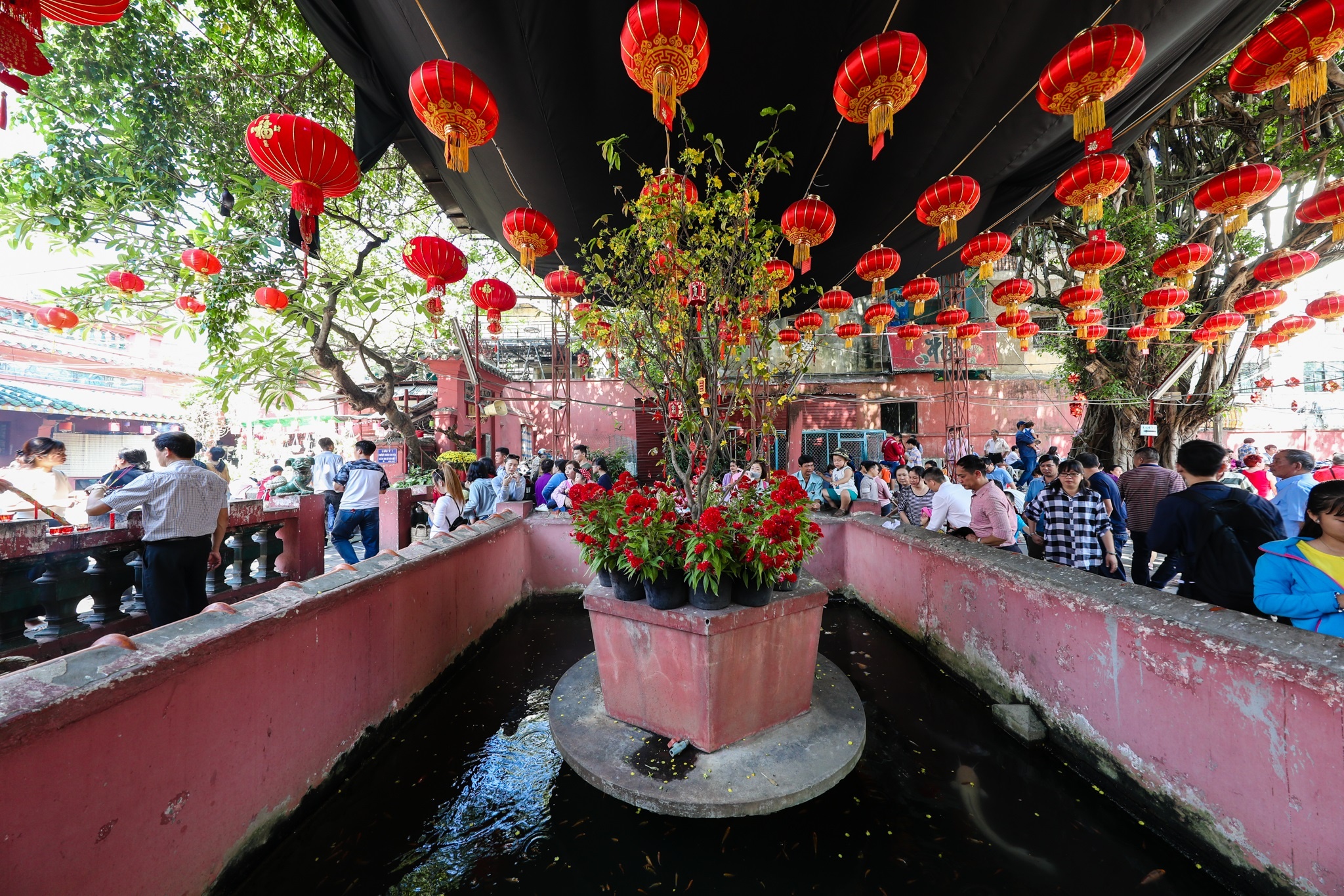 Nguoi dan den chua Ngoc Hoang cau con nam moi anh 14