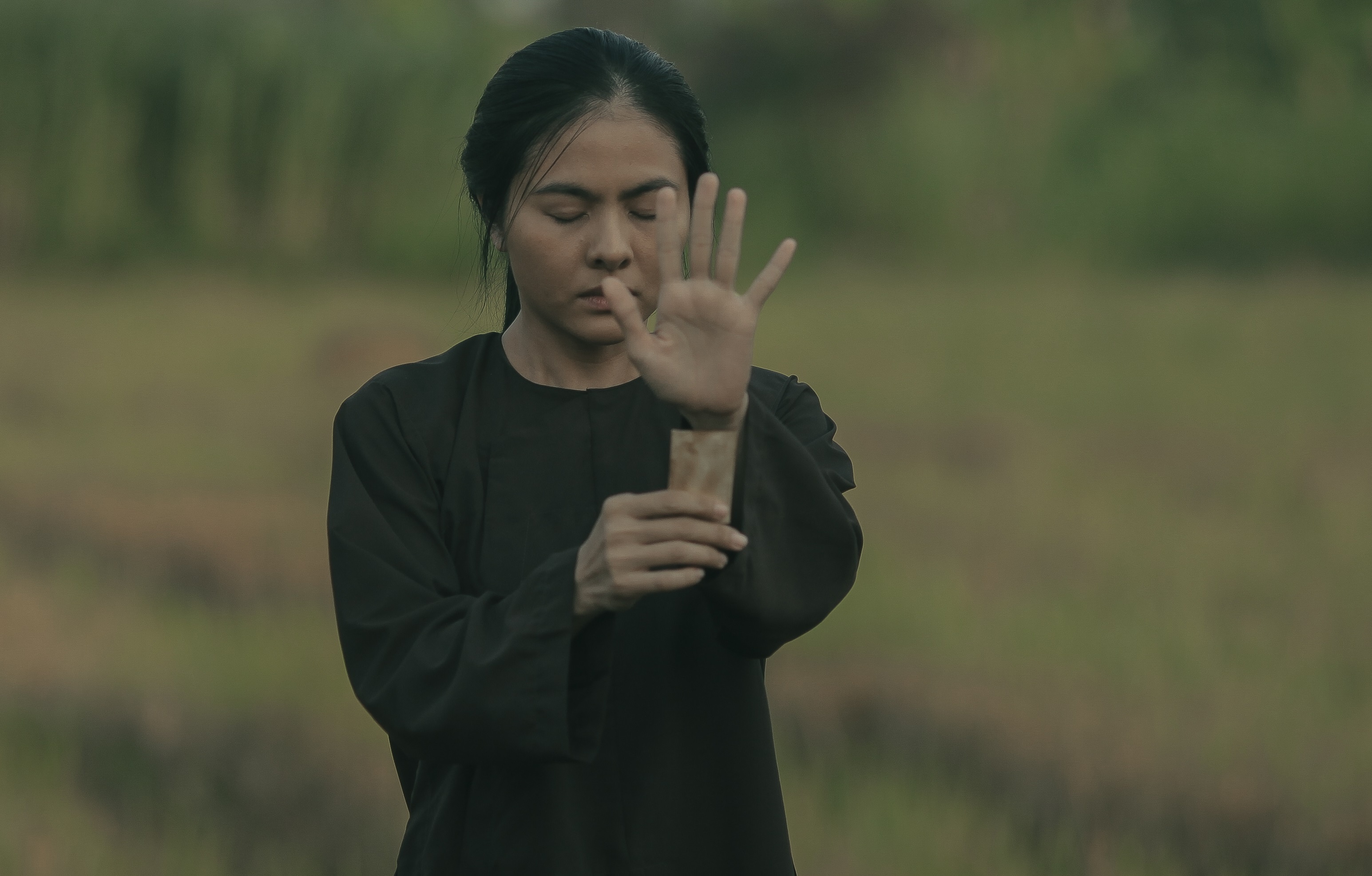 phim kinh di Viet anh 1