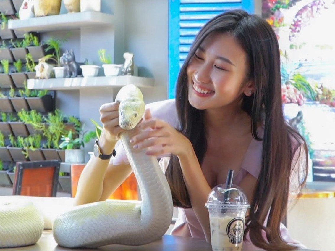 Quan ca phe cho khach choi cung ca sau, ran, ret o TP.HCM hinh anh