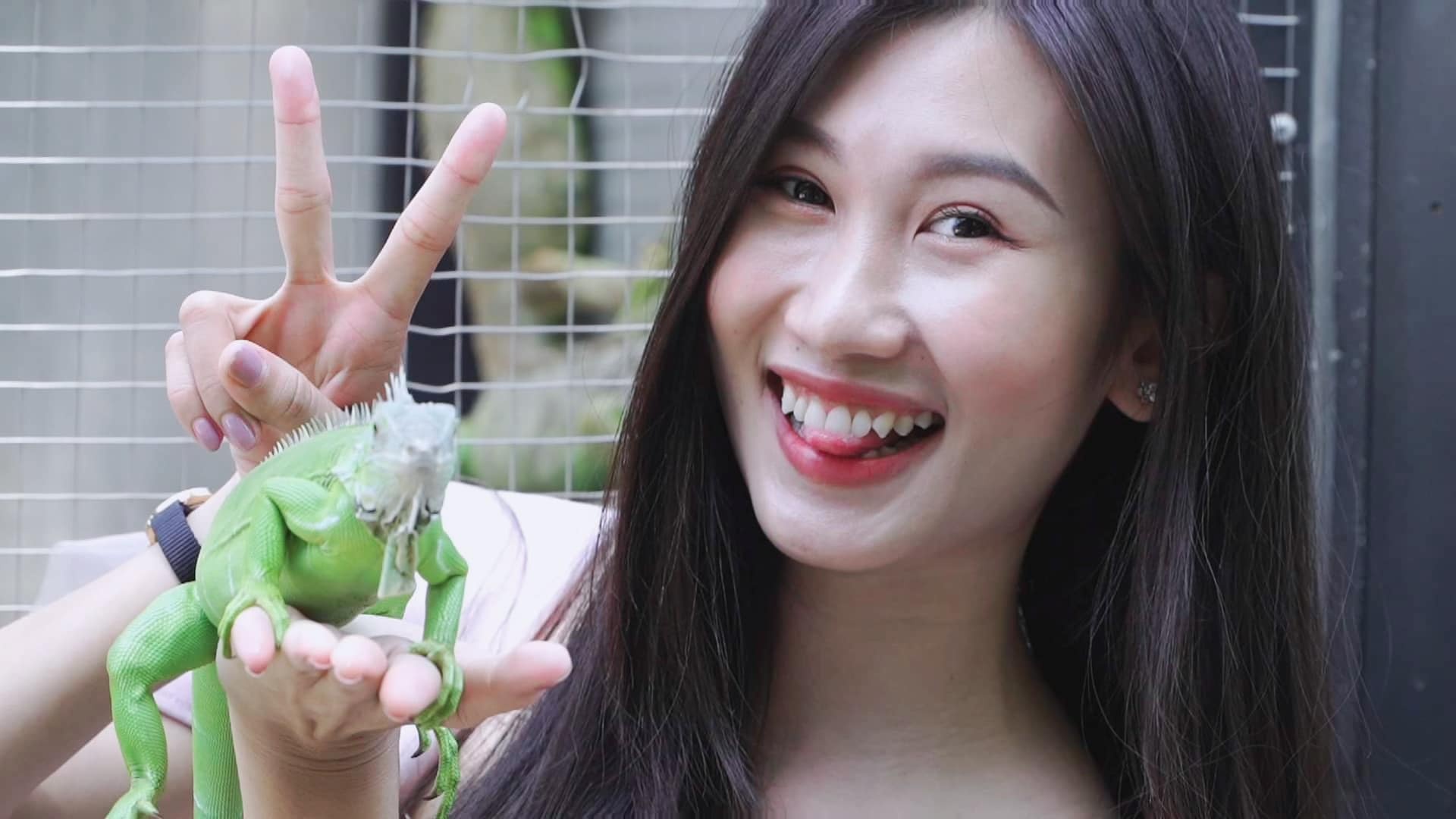 Khach noi gi ve nguy co nhiem dich khi tiep xuc ran, ret o quan ca phe hinh anh