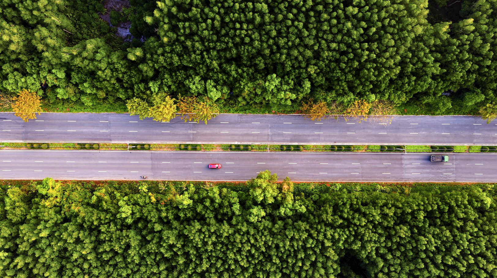 Marathon Green Paradise Can Gio anh 1