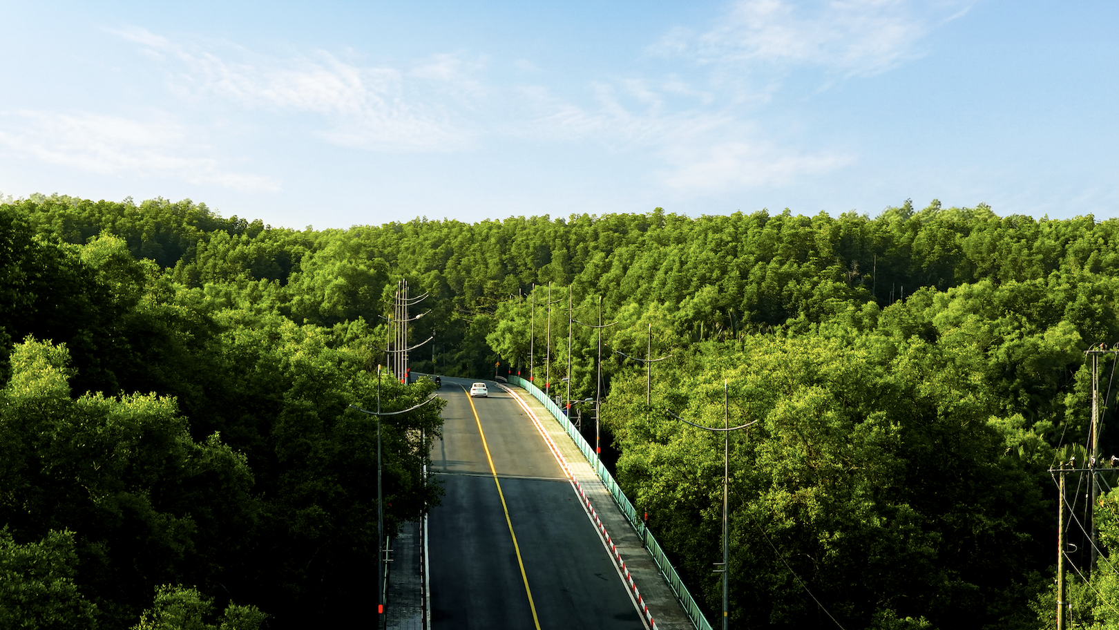 Marathon Green Paradise Can Gio anh 3