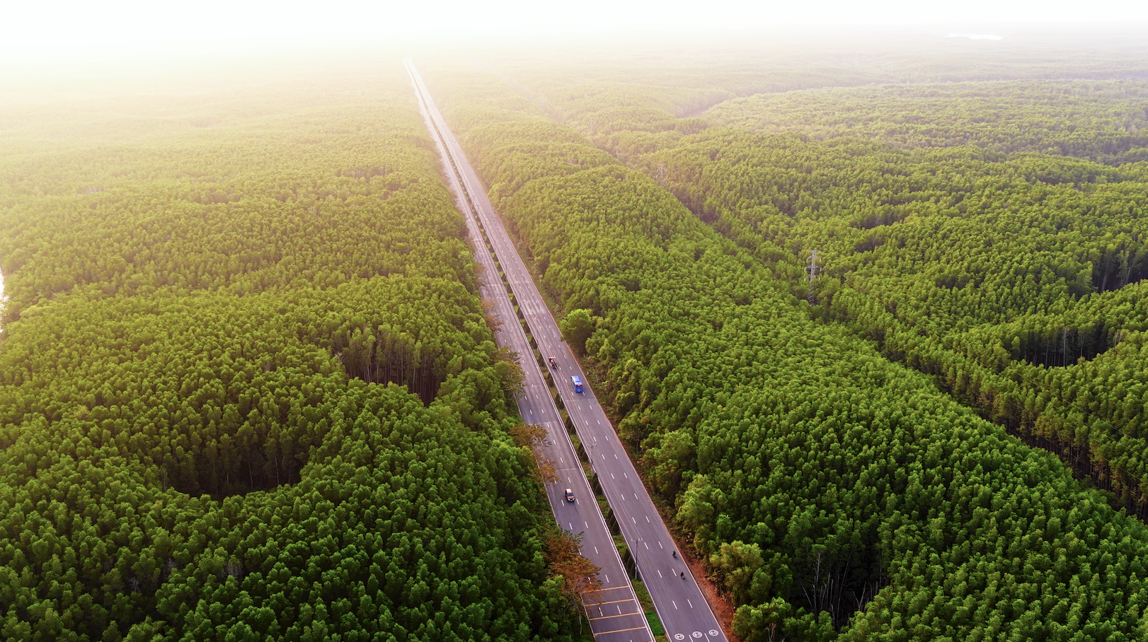 Marathon Green Paradise Can Gio anh 4