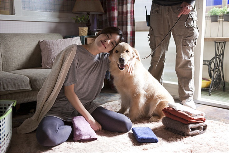 Nữ diễn viên tài năng Han Hyo Joo là một người yêu động vật từ nhỏ. Ước mơ thời thơ ấu của nữ diễn viên Only You chính là trở thành một bác sĩ thú y, cứu chữa cho những con vật. Han Hyo Joo có rất nhiều bức ảnh chụp chung với các thú cưng.