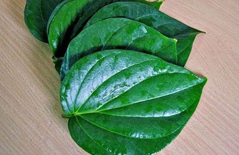 Tri mun cam bang bon loai la de kiem hinh anh