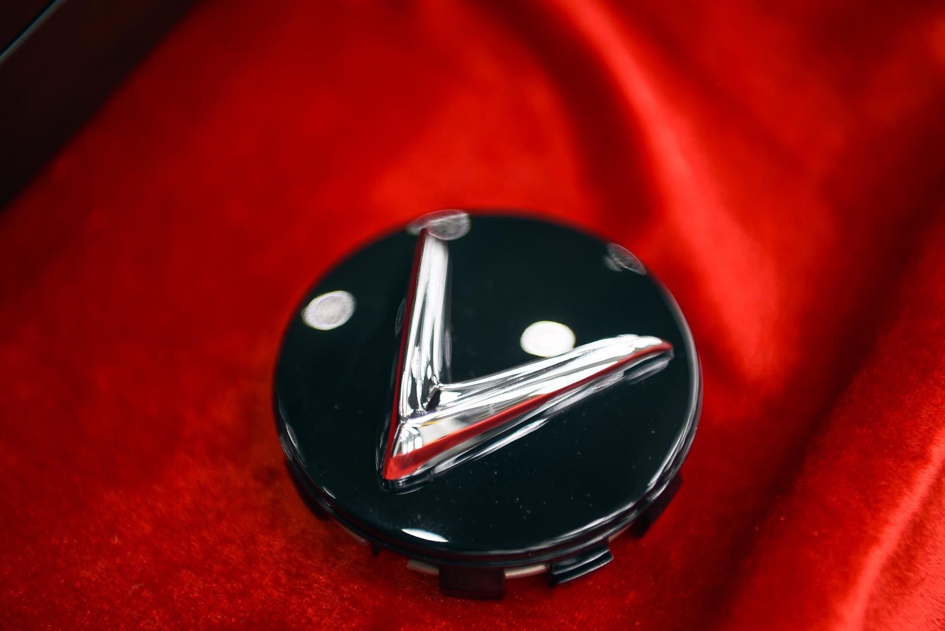 Khach hang tu tay gan logo len xe VinFast hinh anh