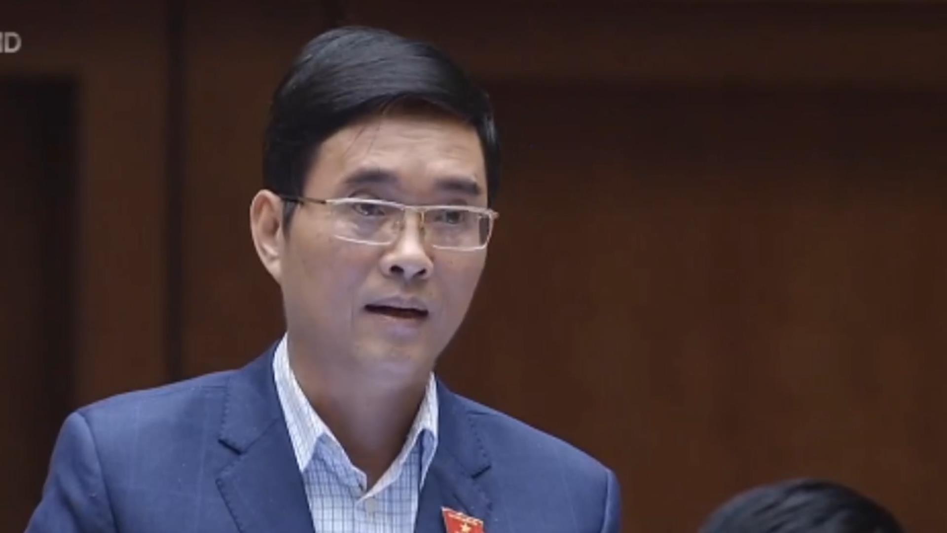 'Viet Nam van chua hoa rong, hoa ho' hinh anh