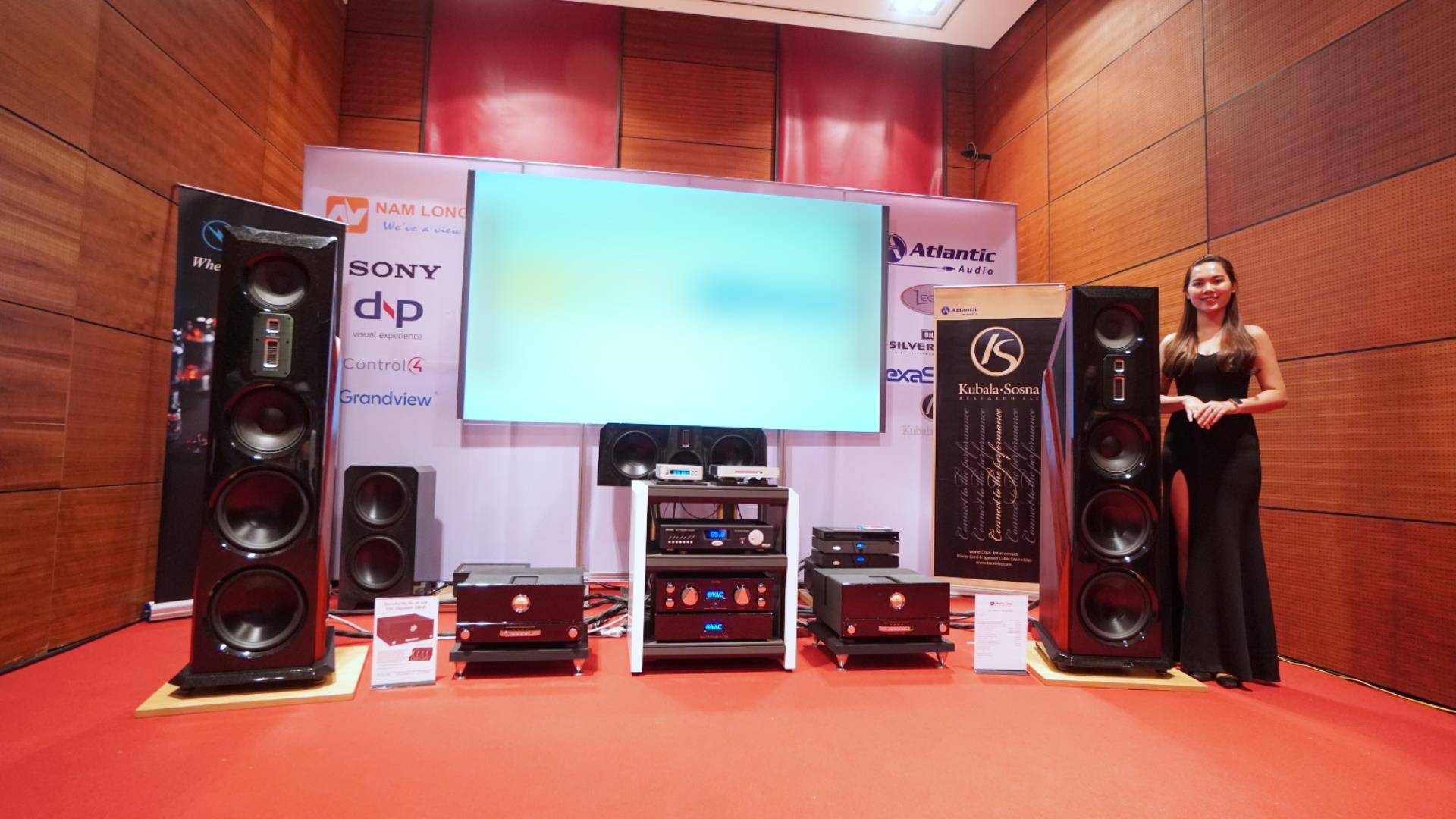 Dan am thanh nhap khau gia gan 3 ty dong hinh anh