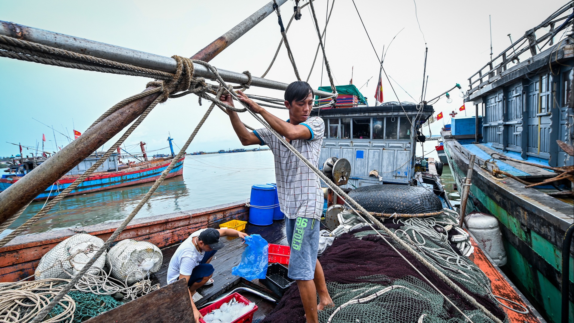 Ngu dan Thua Thien - Hue ve bo tranh bao so 5 hinh anh