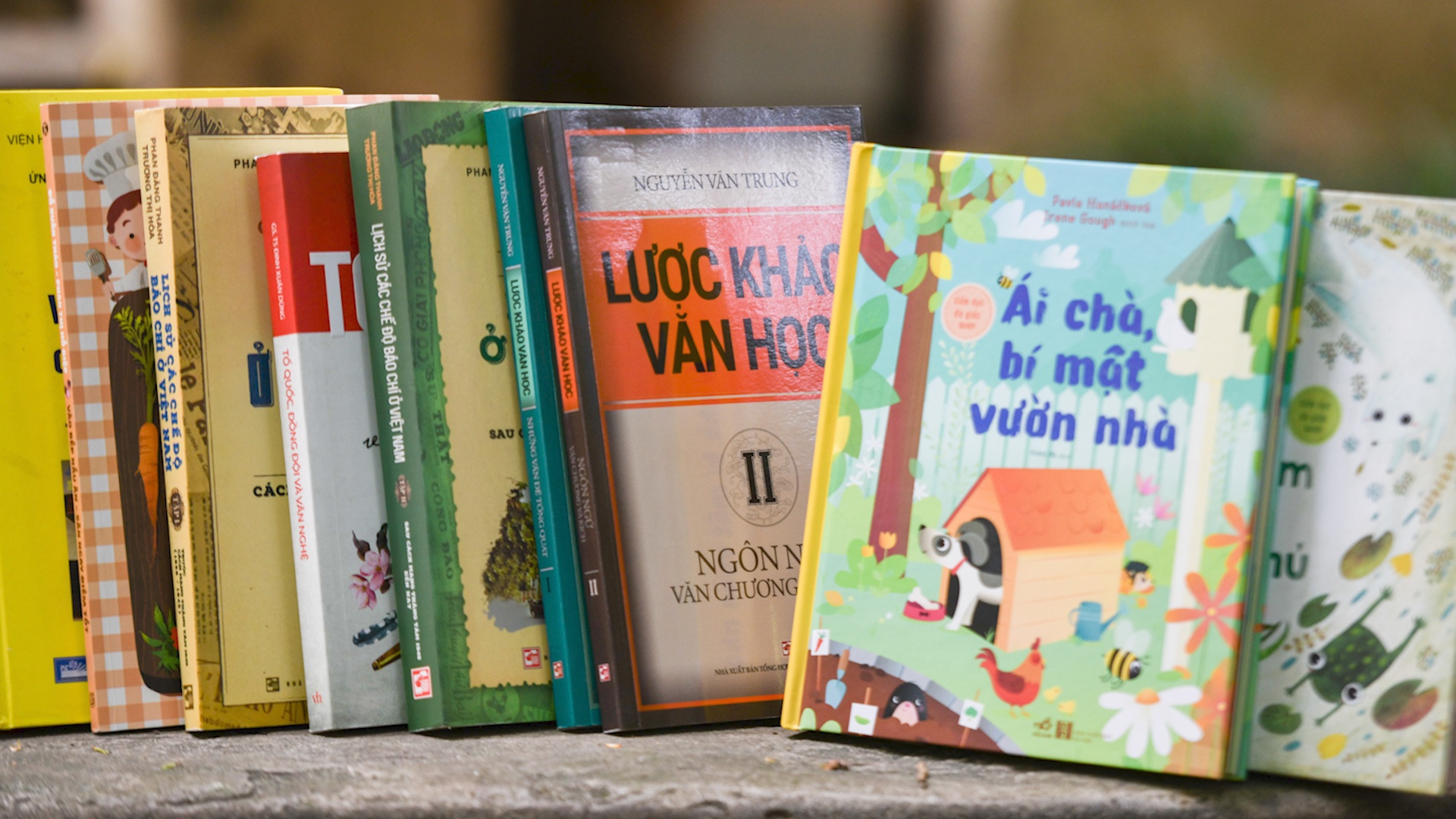 Moi chuyen gia dau nganh tham gia Hoi dong Giai thuong Sach Quoc gia hinh anh