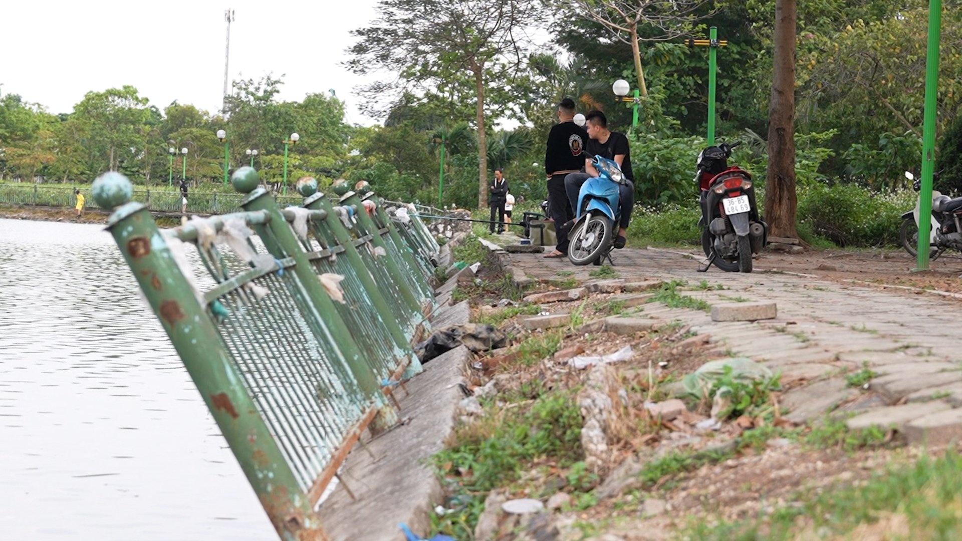 Cong vien 157.000 m2 thanh noi trong rau, danh bat ca hinh anh