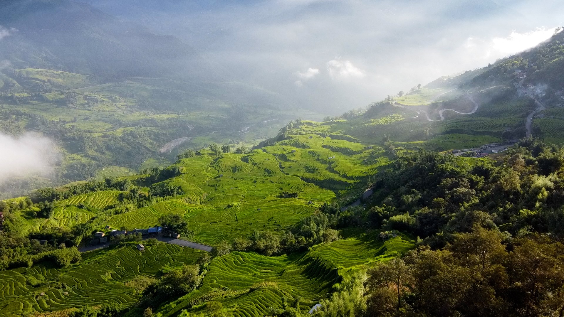 Nhung thua ruong Tay Bac dep ngat ngay mua lua chin hinh anh