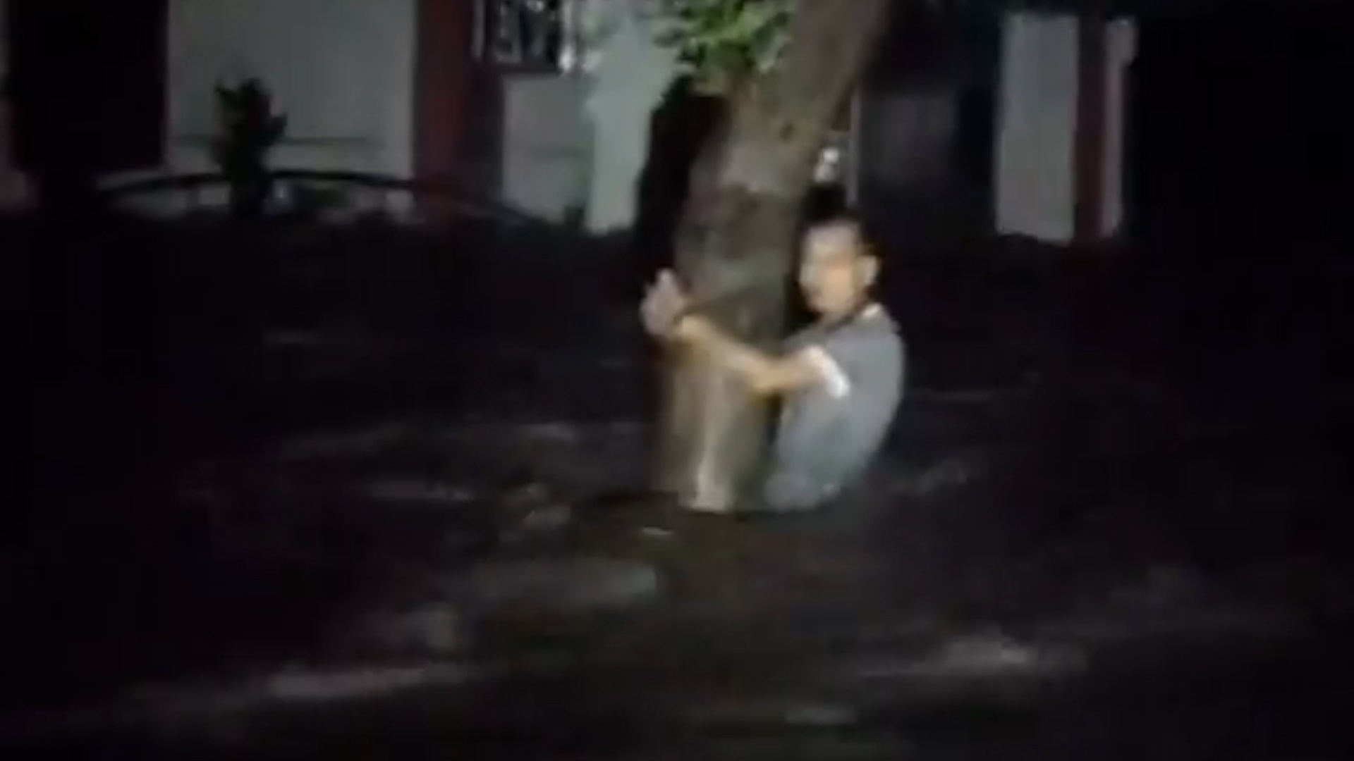 Nguoi Da Nang bam goc cay de tranh bi lu cuon hinh anh