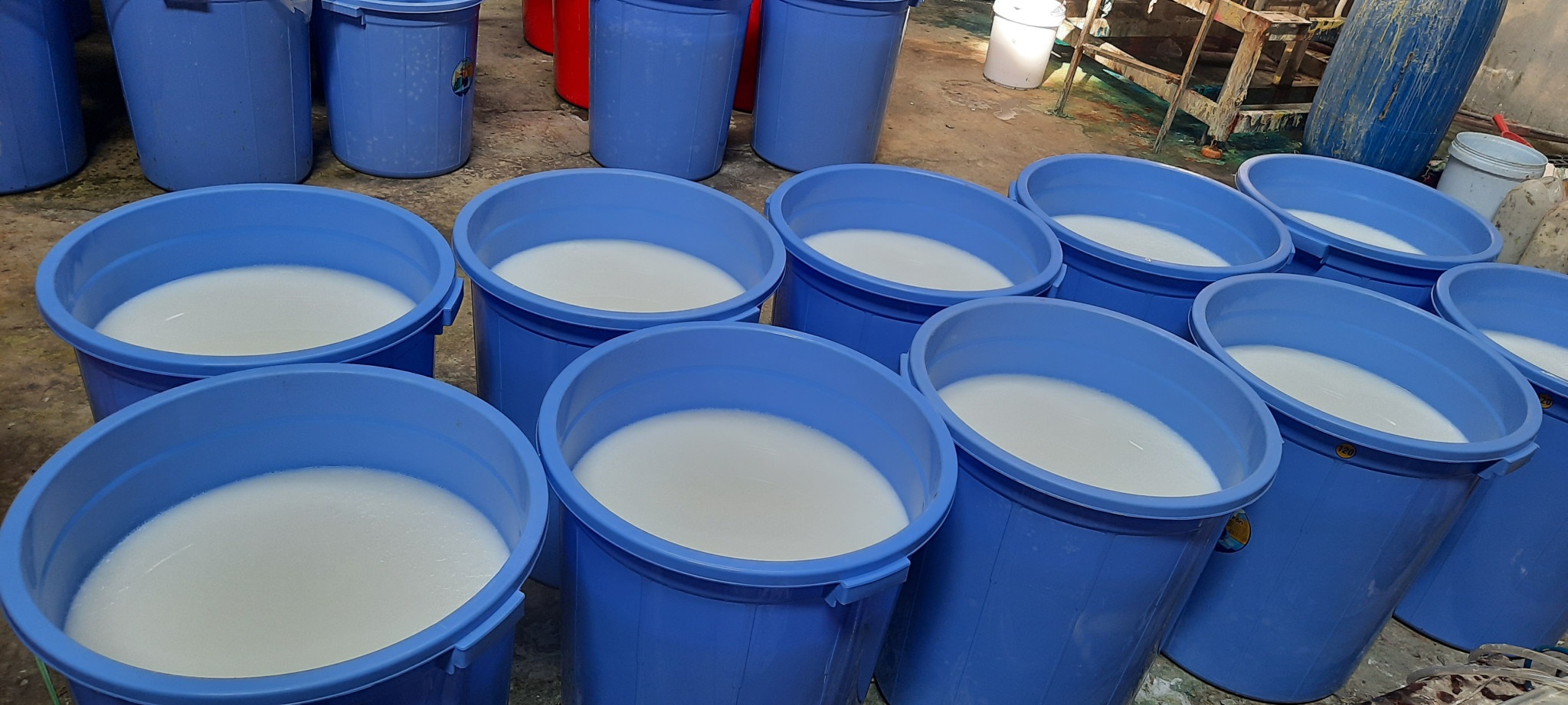 san xuat dau goi gia anh 2