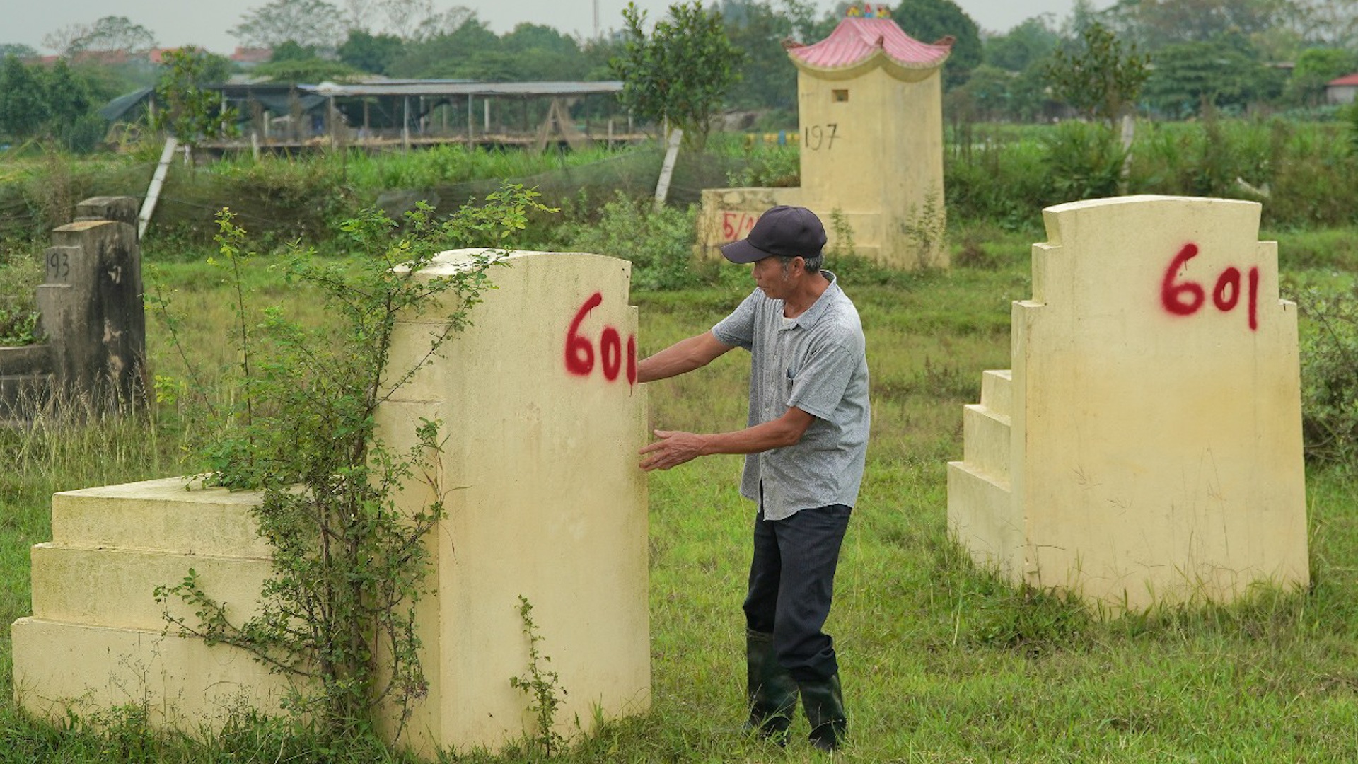 Kiem dem, di doi hang nghin ngoi mo de phuc vu du an vanh dai 4 hinh anh