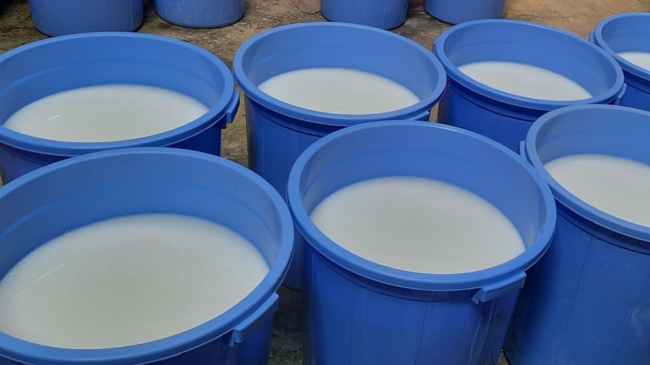 Phat hien 5 kho, xuong san xuat dau goi gia cuc lon o TP. HCM hinh anh