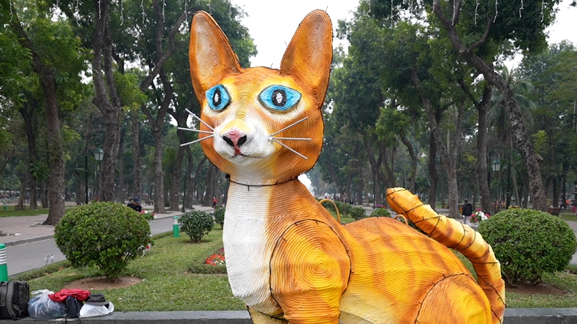 Linh vat meo duoc nhan xet giong chuot o cong vien Thong Nhat hinh anh