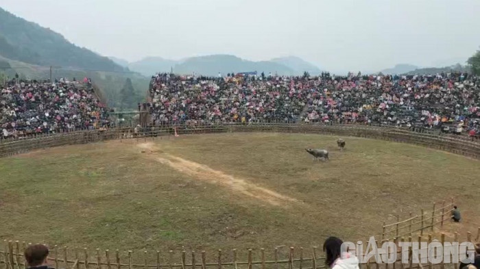 choi trau trai phep anh 1