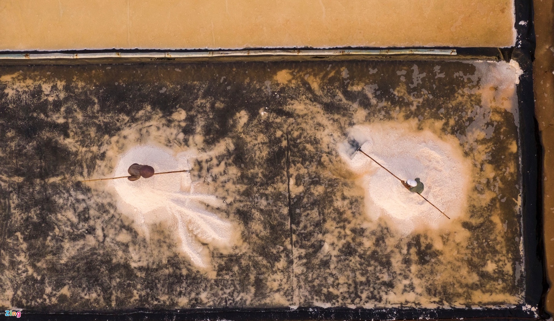 muoi Ninh Thuan anh 6