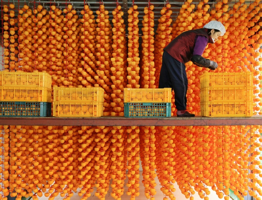 Trung Thu 2021 anh 4