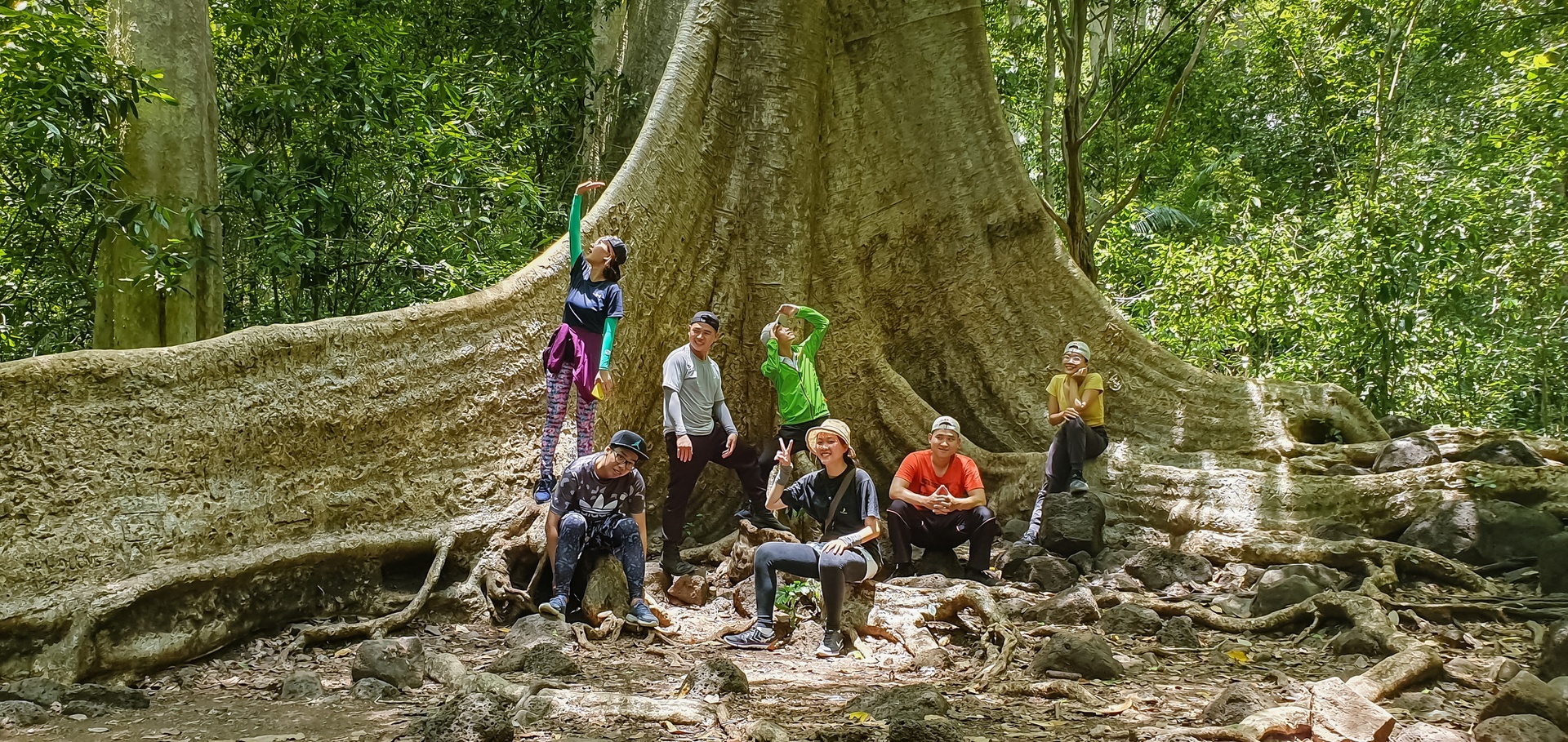 vuon quoc gia Phong Nha - Ke Bang anh 3