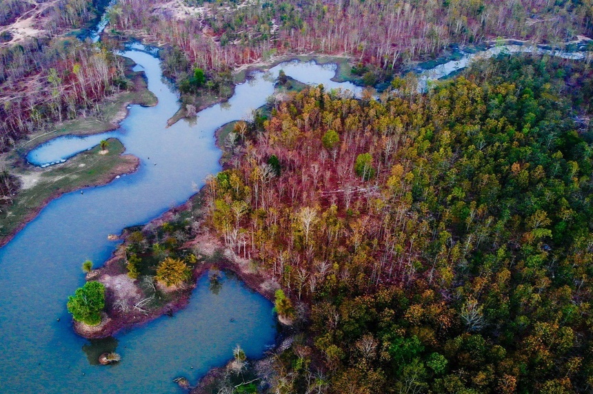 vuon quoc gia Phong Nha - Ke Bang anh 4