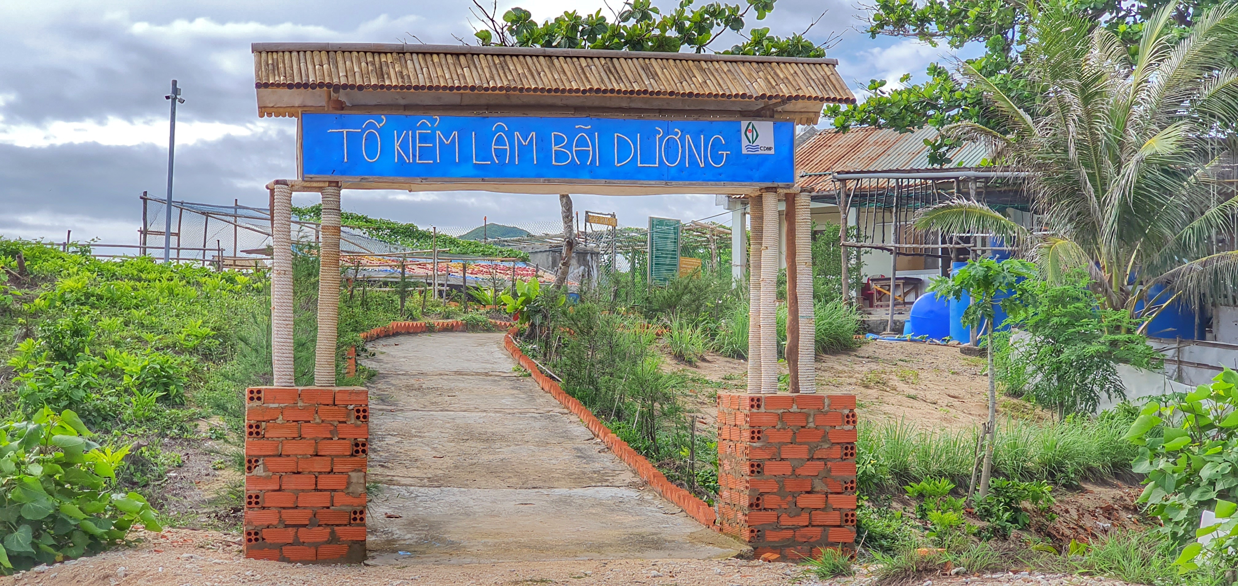 do de rua bien tai Con Dao anh 2
