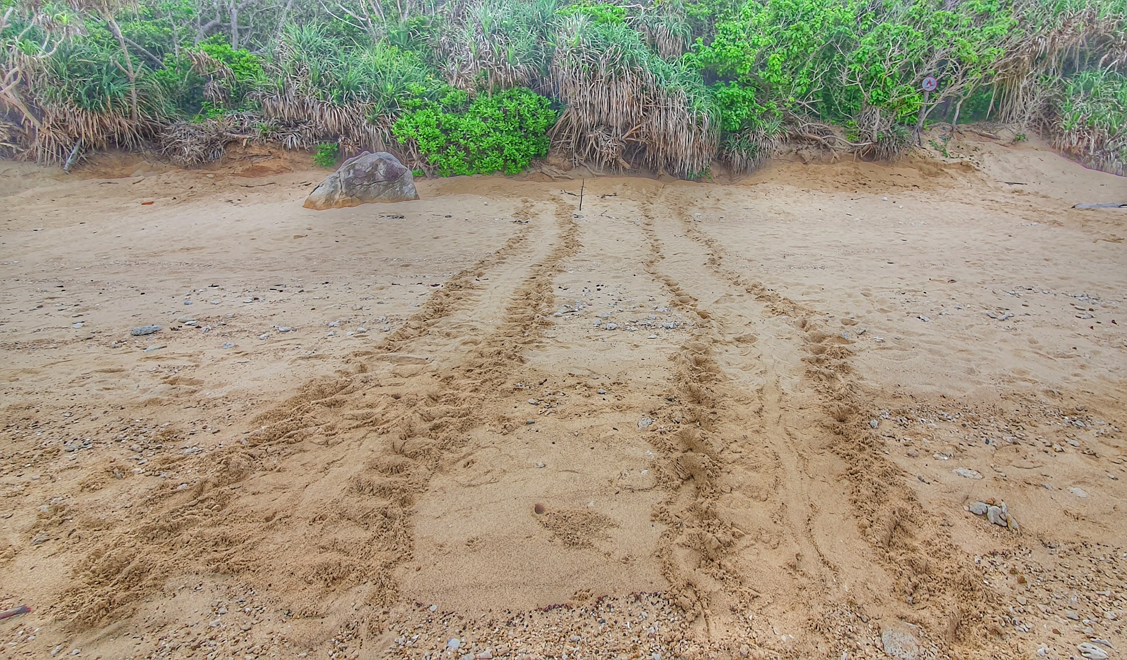 do de rua bien tai Con Dao anh 4