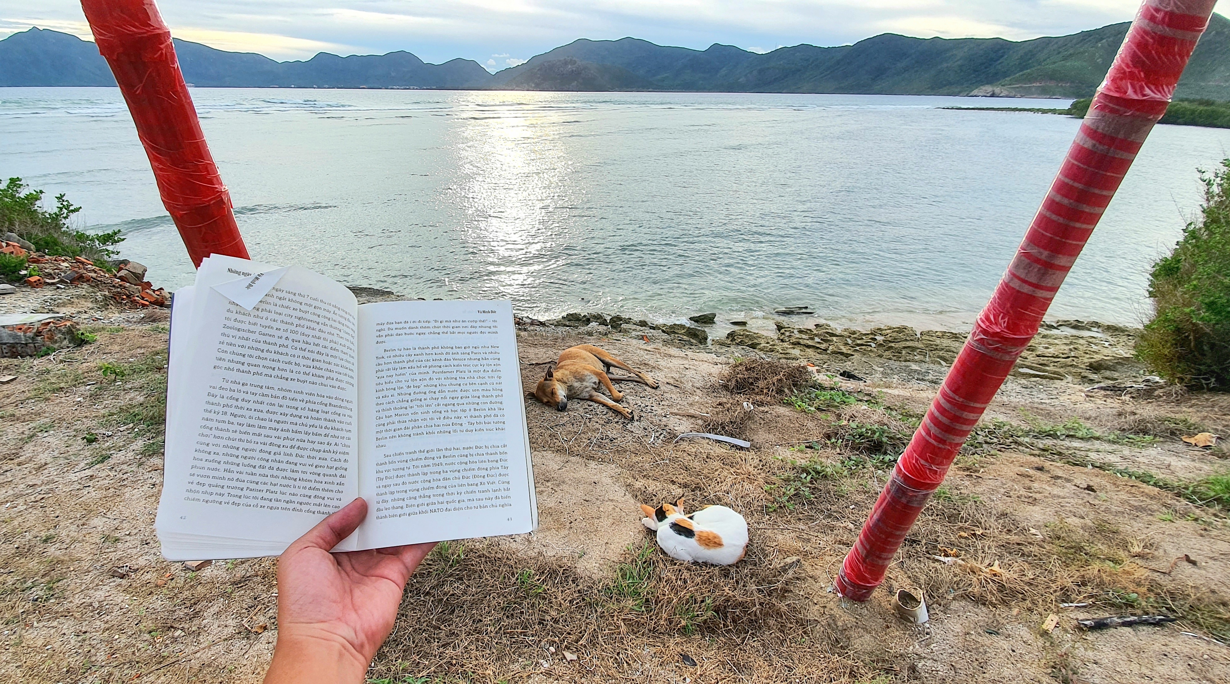 do de rua bien tai Con Dao anh 8