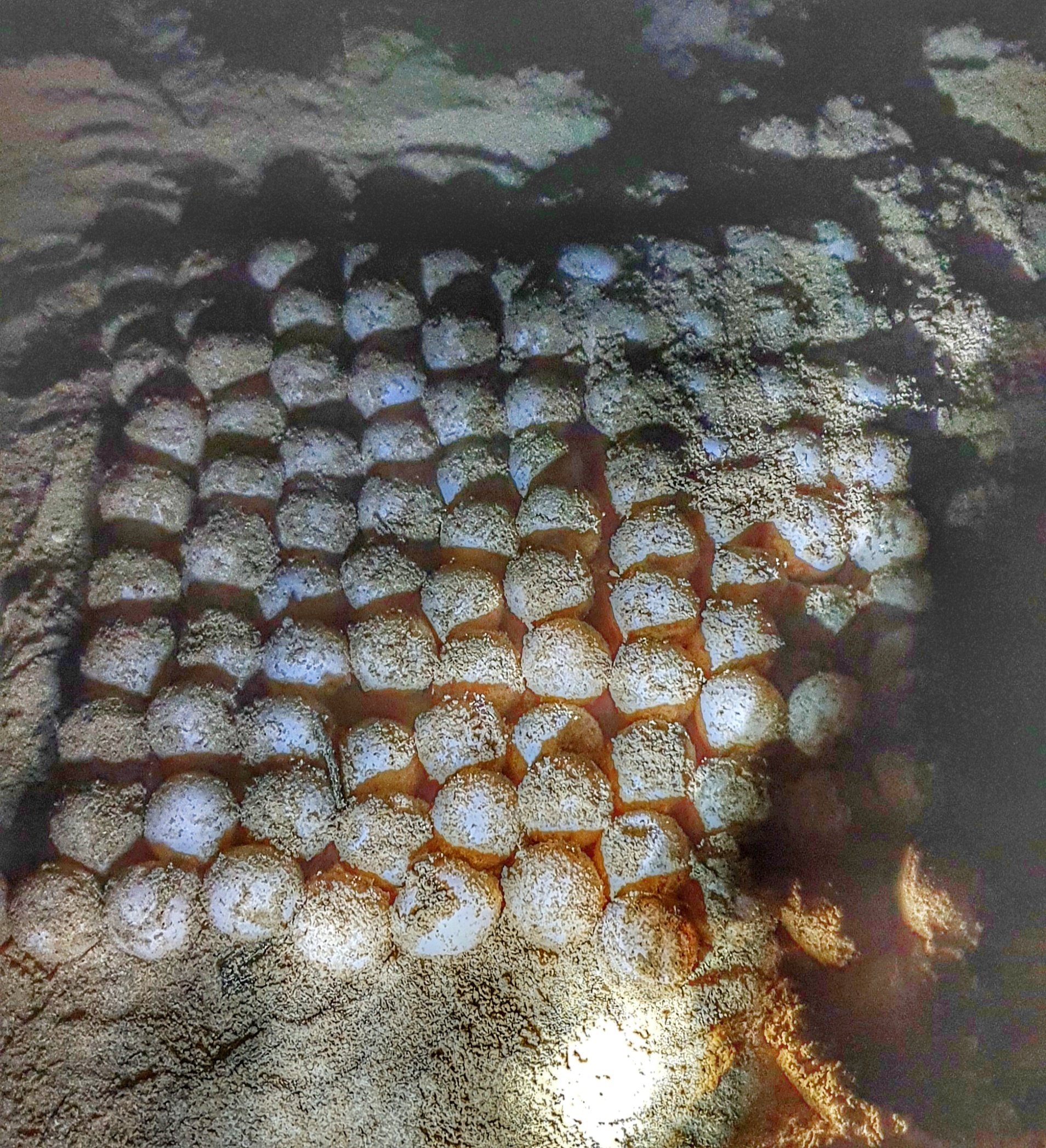 do de rua bien tai Con Dao anh 5