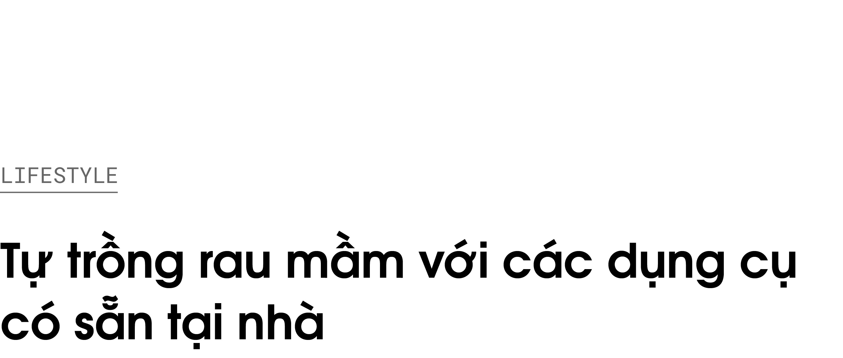 cách trồng rau mầm ảnh 1 cach trong rau mam anh 1