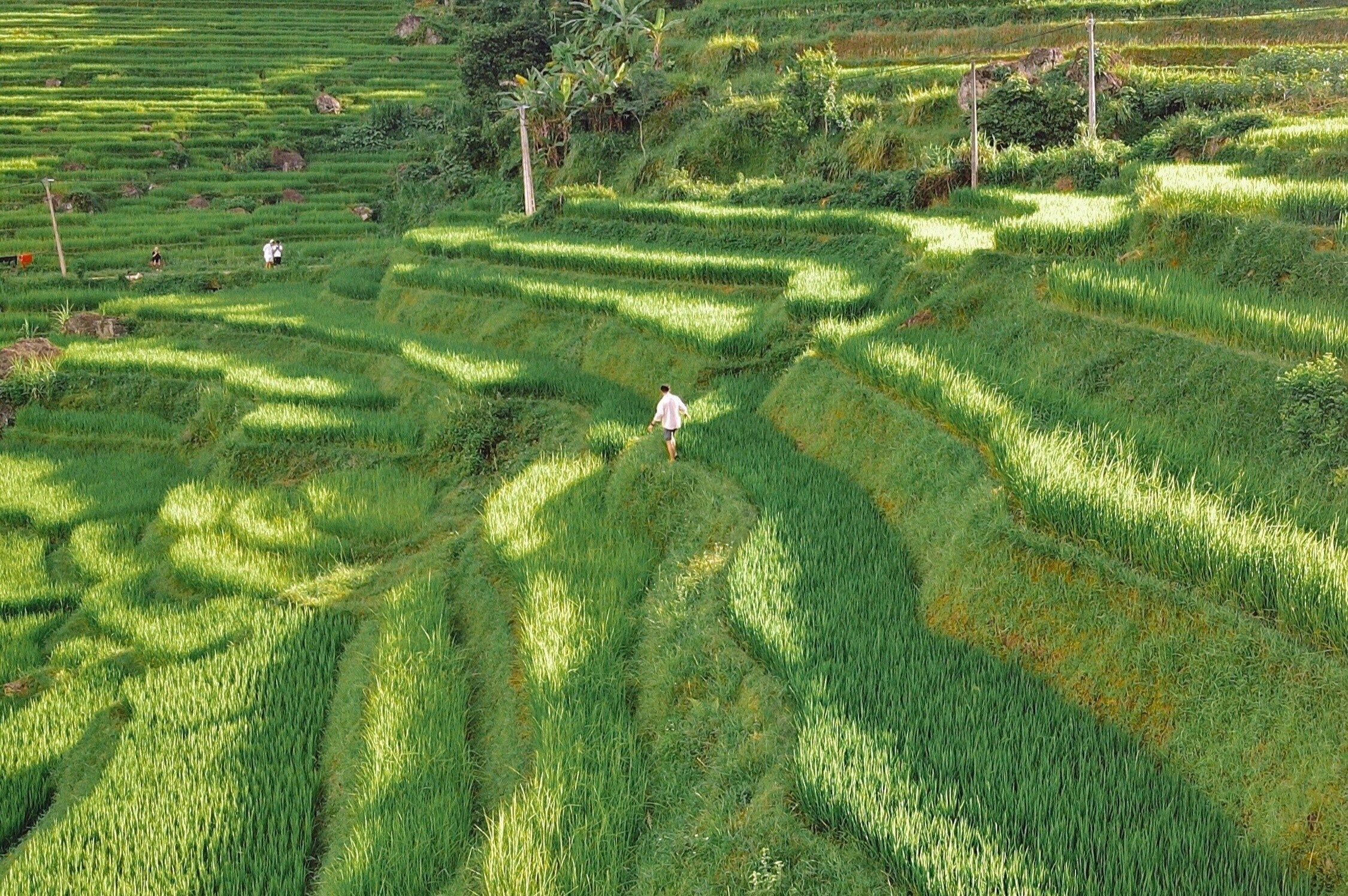 Nguoi tre len ke hoach cho nhung chuyen di sau dich hinh anh