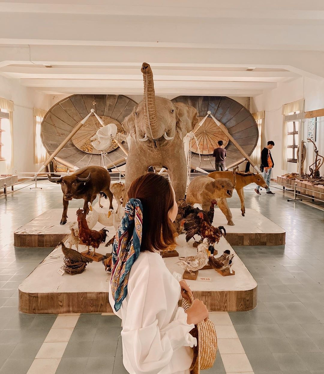 du lich Da Lat anh 4