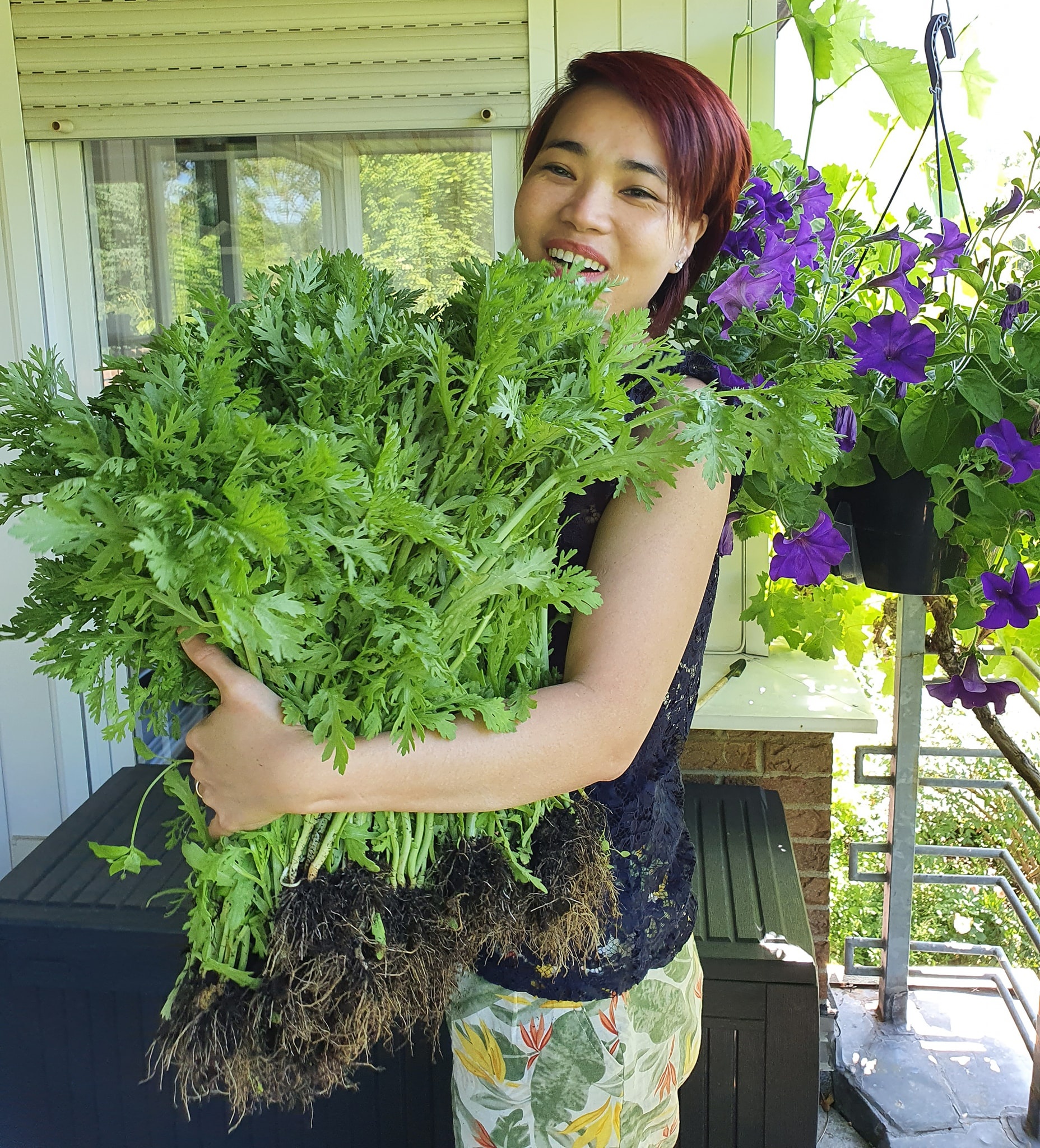 vườn rau trên ban công ảnh 1 vuon rau tren ban cong anh 1