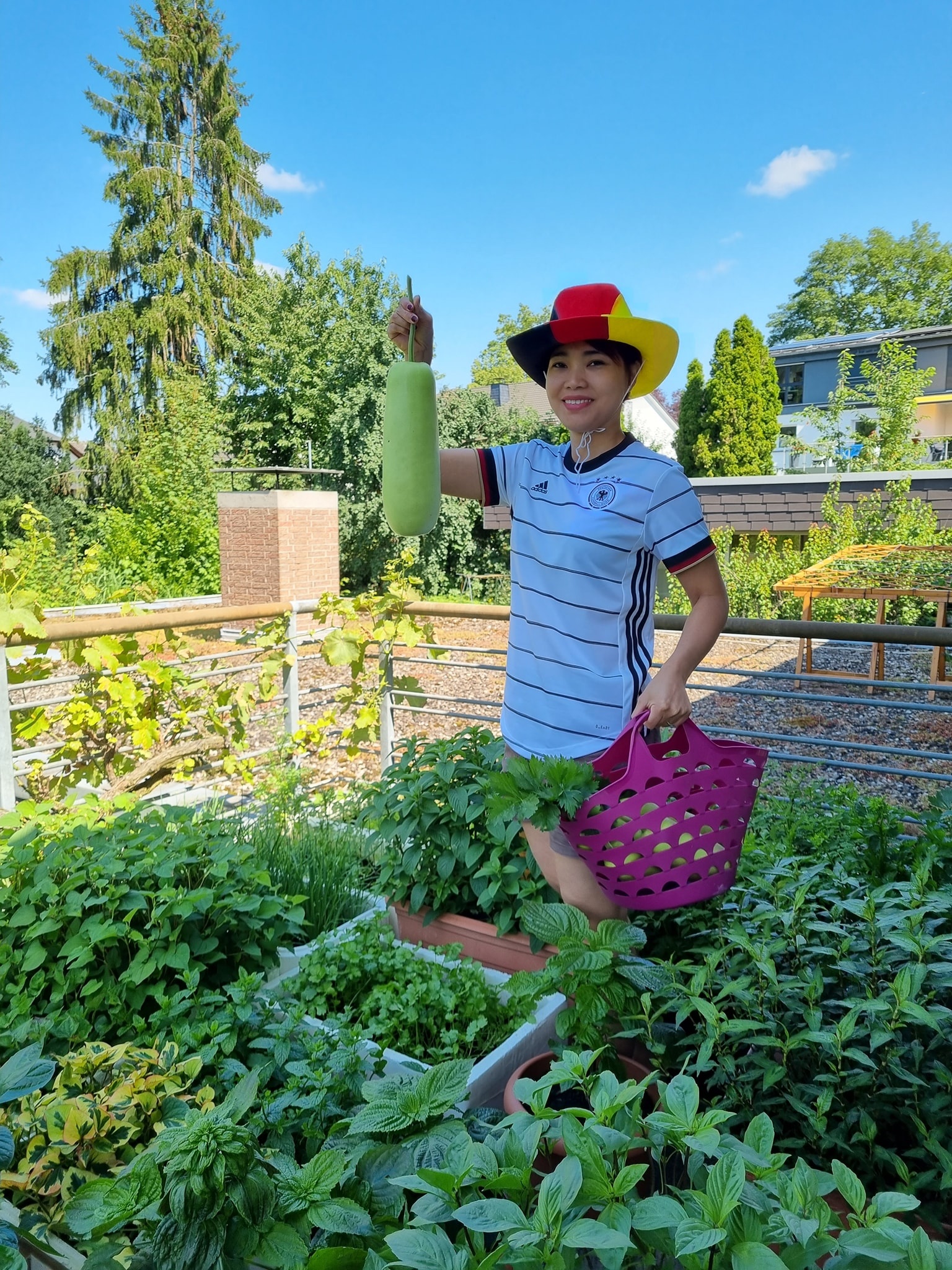 vườn rau trên ban công ảnh 2 vuon rau tren ban cong anh 2