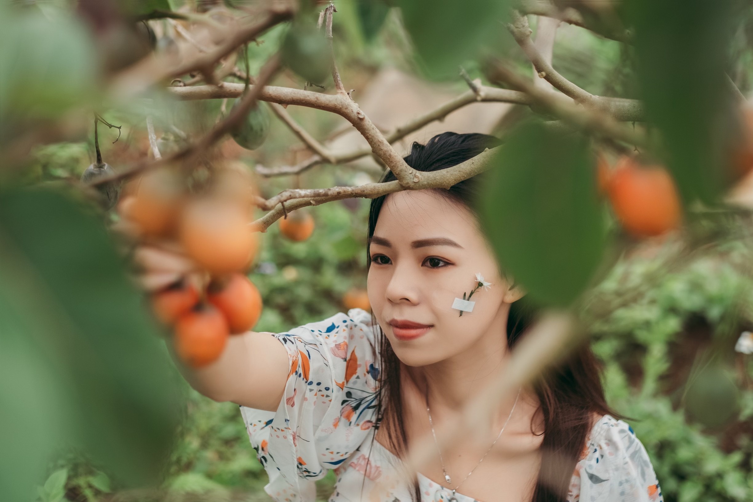 bo pho ve rung anh 1