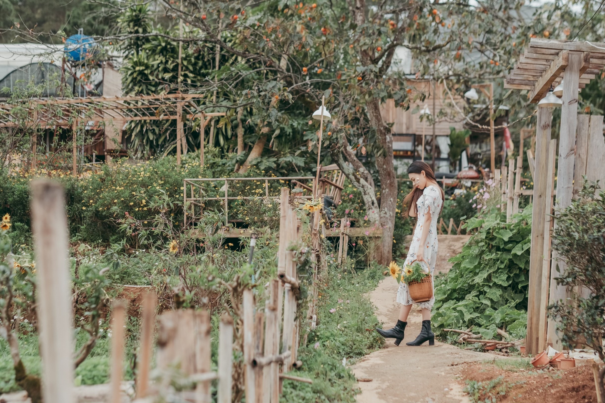 bo pho ve rung anh 2