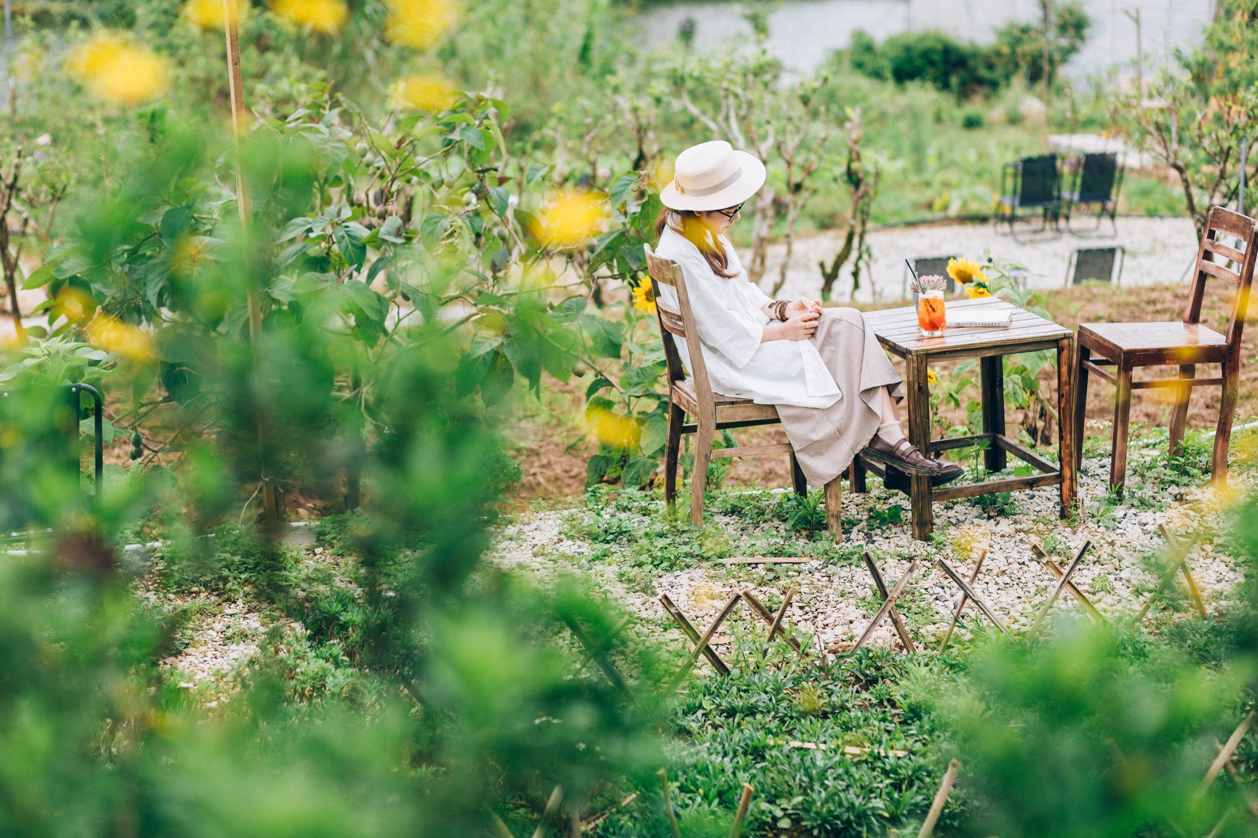 bỏ phố về rừng ảnh 12 bo pho ve rung anh 12