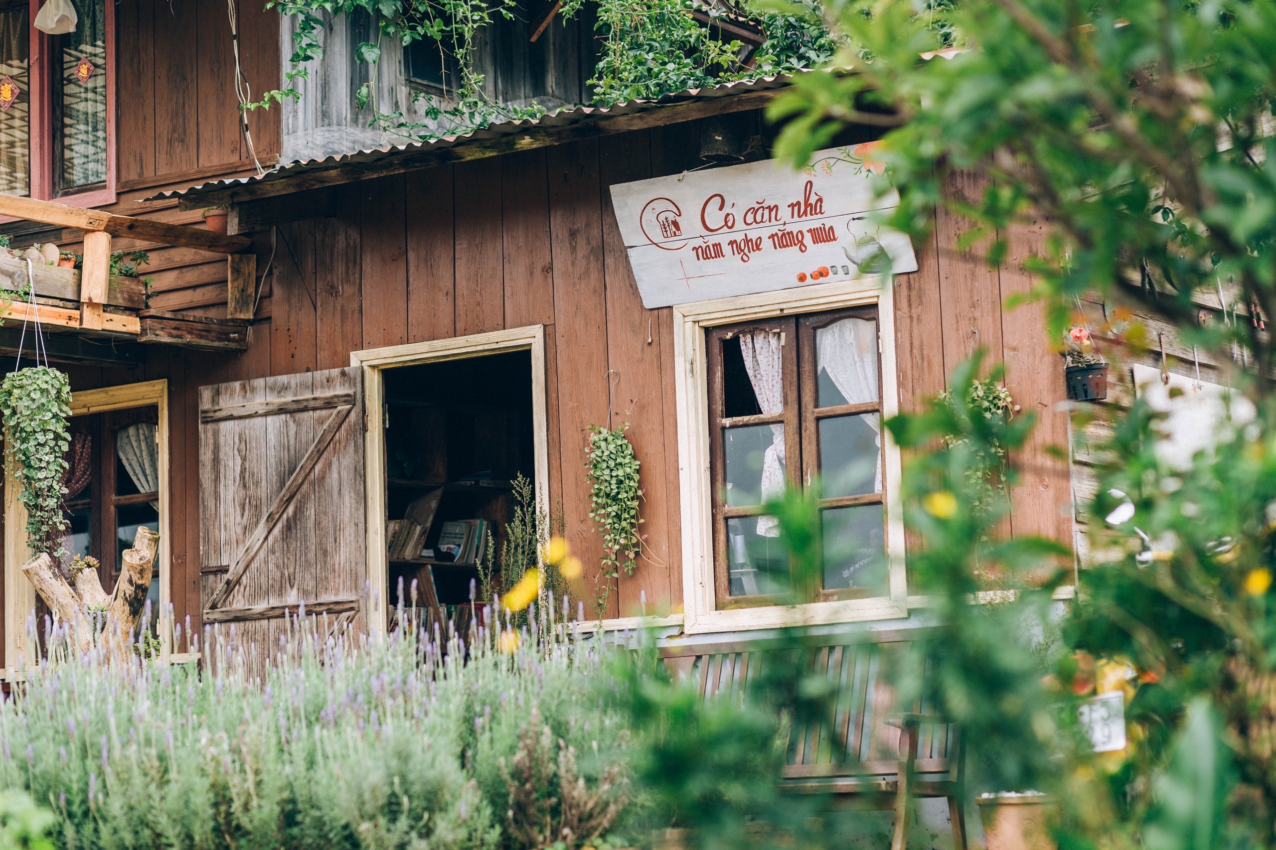 bỏ phố về rừng ảnh 9 bo pho ve rung anh 9